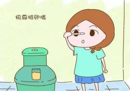 一盒保胎灵片价格是多少,保胎灵保胎效果好吗