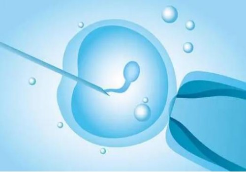 2023武汉三代供卵试管婴儿费用支出情况，给你最详细的介绍