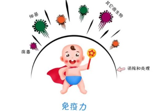 女性如何处理宫外孕是对身体的损伤最小的呢？