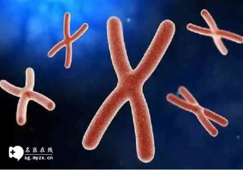 输卵管检查：更好的了解你的生殖健康
